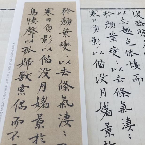 图片5.png 图片5.png